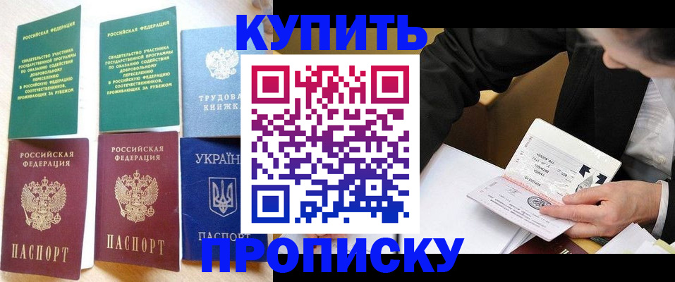 прописка для школы в Королёве
